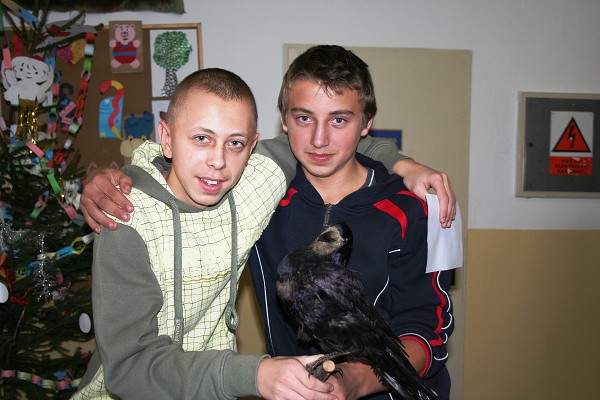 Verneřický krkavec