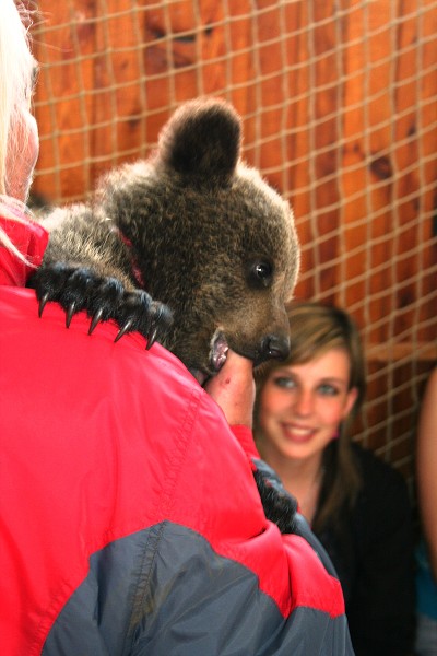 Medvěd a krajta - přírodovědná přednáška