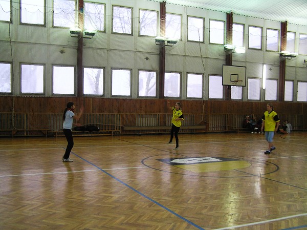 Turnaj ve vybíjené