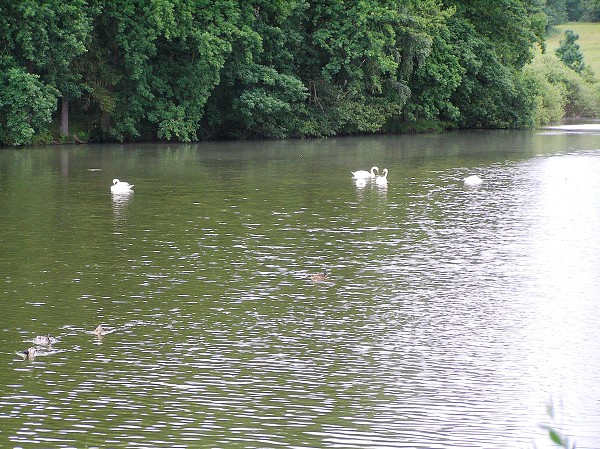 Výlet 4. a 5. třídy na Olešku