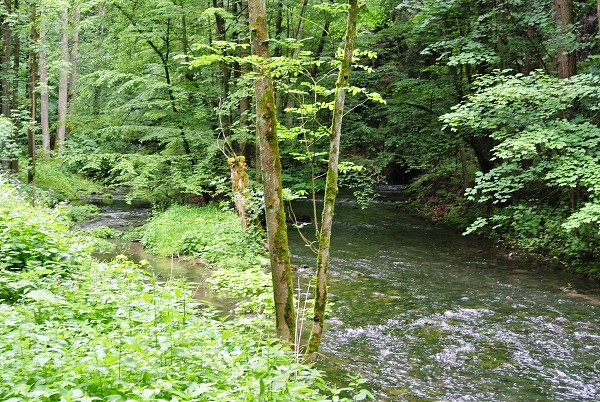 Výlet do Moravského krasu a Brna