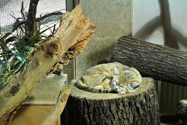 Výlet do Moravského krasu a Brna