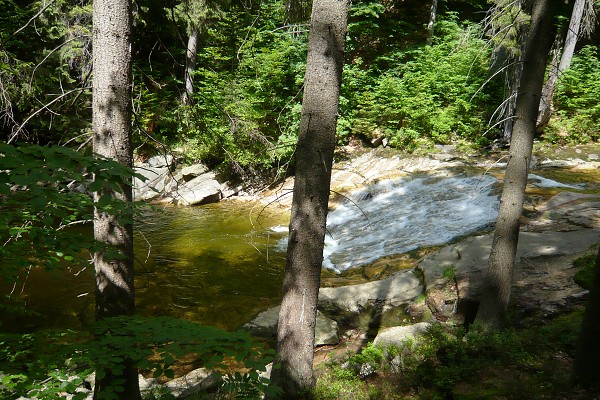 Výlet 5. třídy do Harrachova