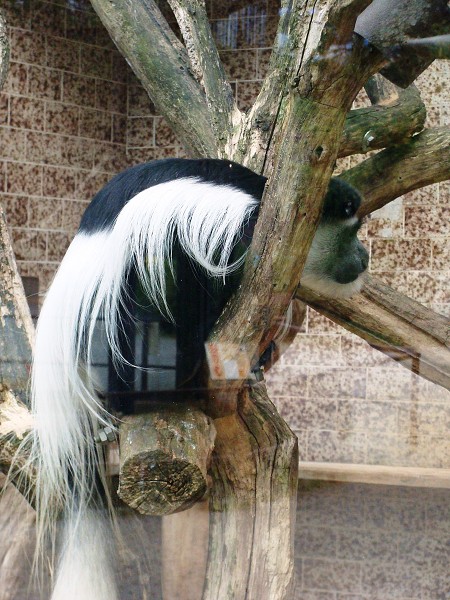 Výlet 7. třídy do ústeckého ZOO