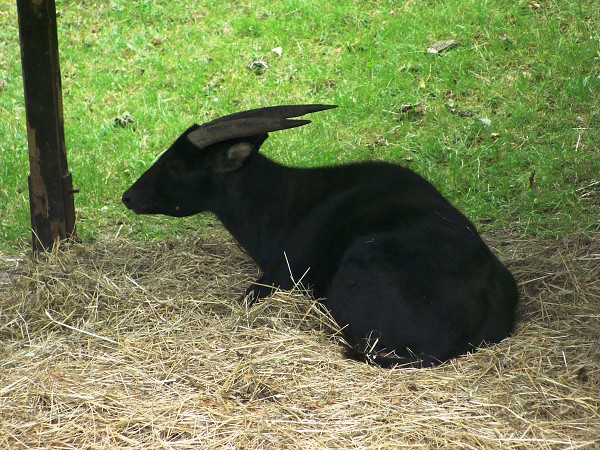 Výlet 7. třídy do ústeckého ZOO