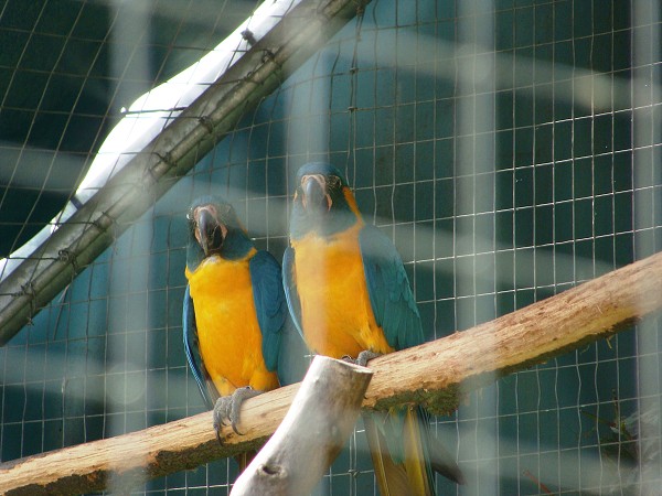 Výlet 7. třídy do ústeckého ZOO