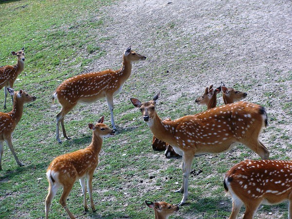 Výlet 7. třídy do ústeckého ZOO