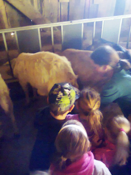 Výprava na kozí farmu do Merboltic