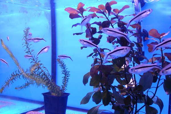 Přírodovědné a technické vzdělávání