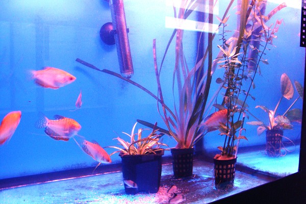 Přírodovědné a technické vzdělávání