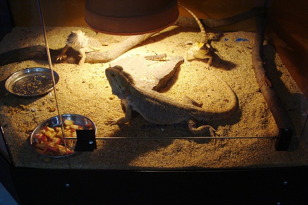 Přírodovědné a technické vzdělávání