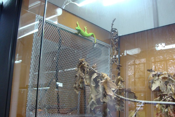 Přírodovědné a technické vzdělávání