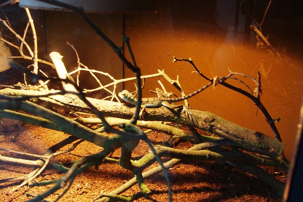 Přírodovědné a technické vzdělávání