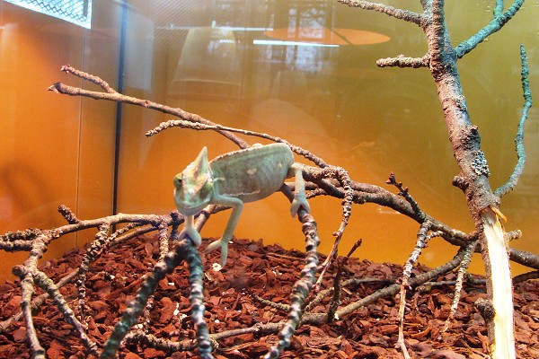 Přírodovědné a technické vzdělávání