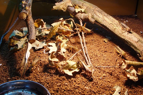 Přírodovědné a technické vzdělávání