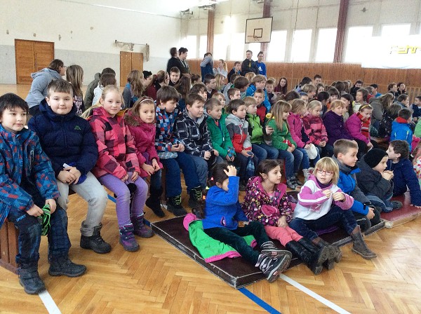 Přemyslovští králové 