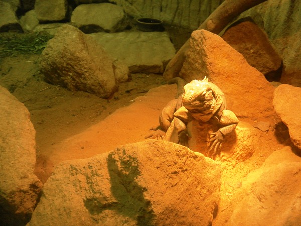 Výlet 9. třídy do ústeckého zoo