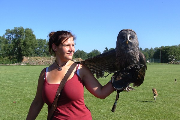 Dravci - ukázka sokolnictví