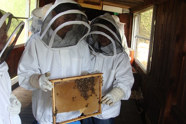 Přírodovědná exkurze