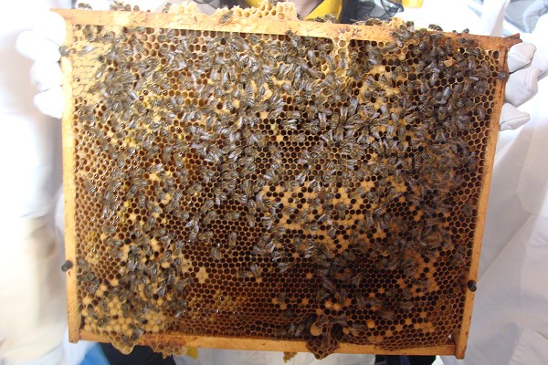 Přírodovědná exkurze