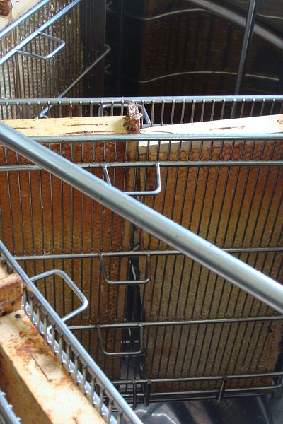 Přírodovědná exkurze