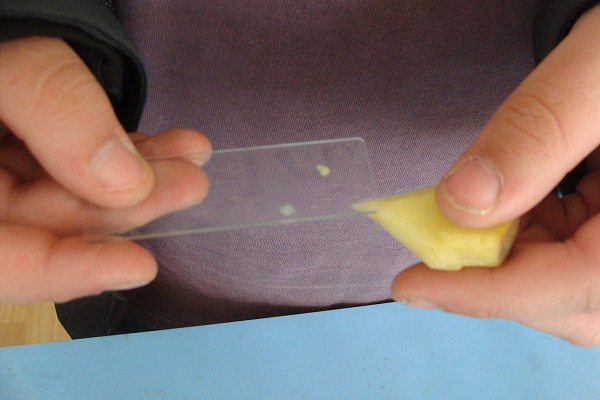 Přírodovědná exkurze