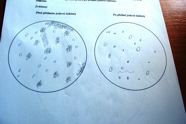 Přírodovědná exkurze
