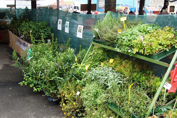 Zahradnicko-zemědělská výstava