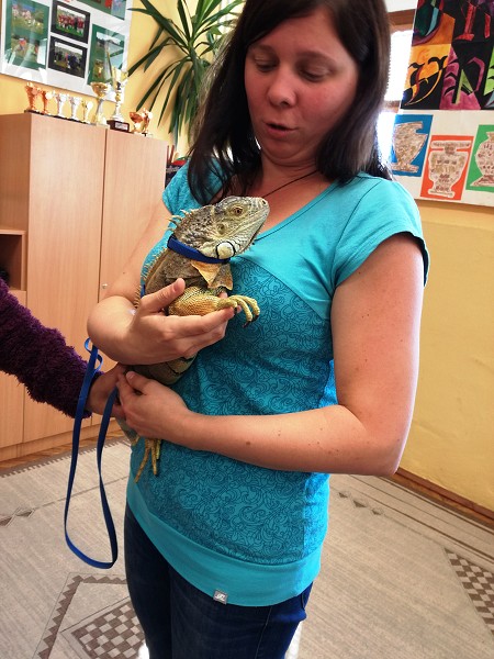 Návštěva leguána