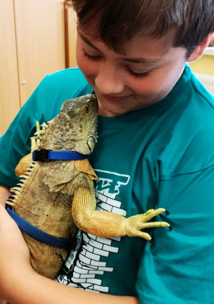 Návštěva leguána