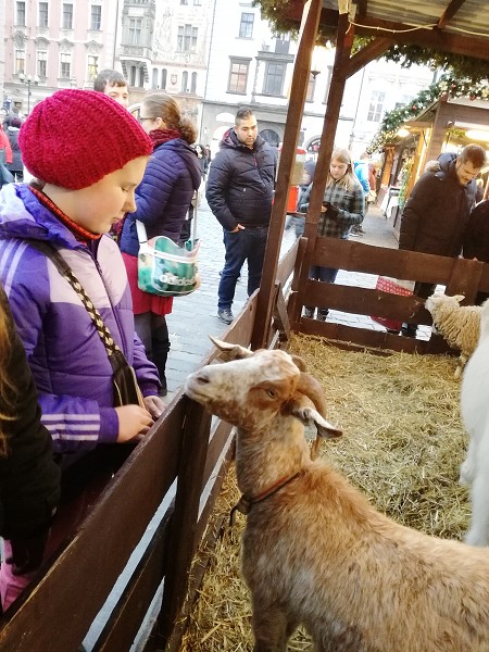 Výlet 5. třídy do adventní Prahy