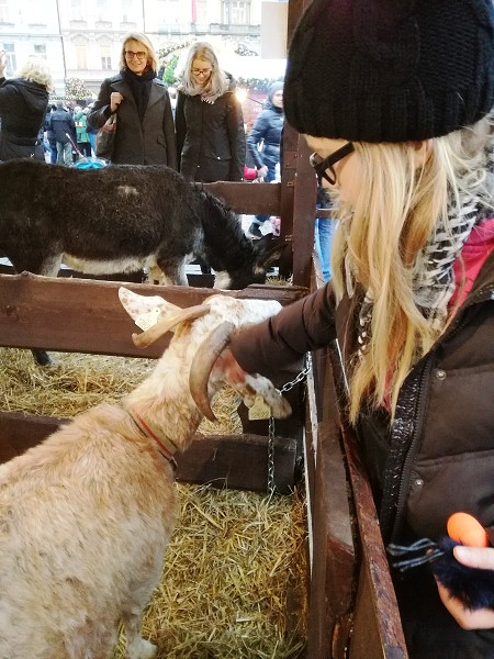 Výlet 5. třídy do adventní Prahy