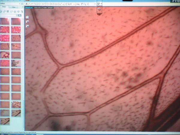 Přírodovědná exkurze na Libverdě