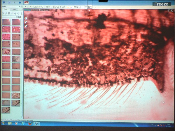 Přírodovědná exkurze na Libverdě