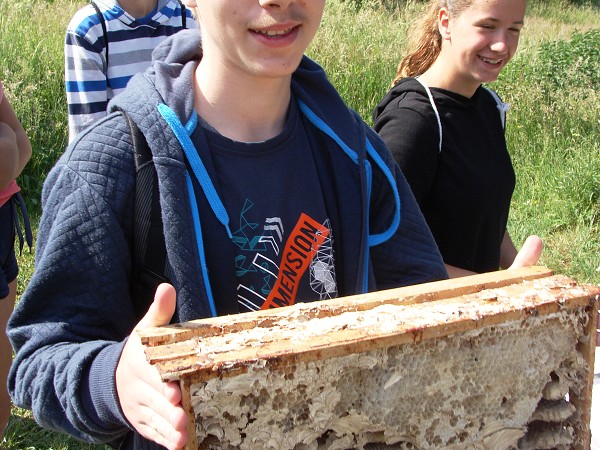 Přírodovědná exkurze na Libverdě