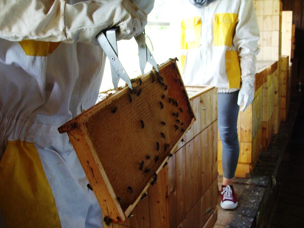 Přírodovědná exkurze na Libverdě