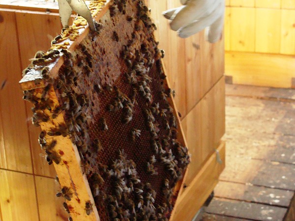 Přírodovědná exkurze na Libverdě