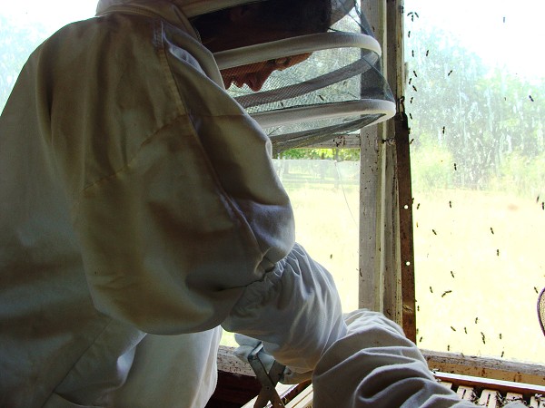 Přírodovědná exkurze na Libverdě