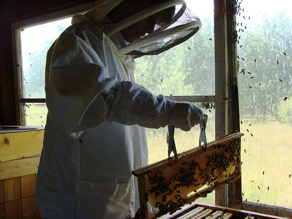 Přírodovědná exkurze na Libverdě