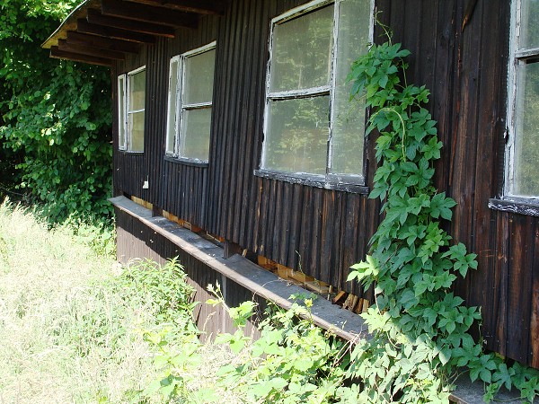 Přírodovědná exkurze na Libverdě