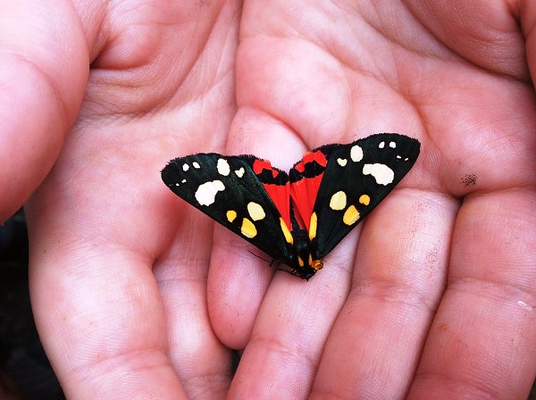 Výlet 2. a 3. třídy