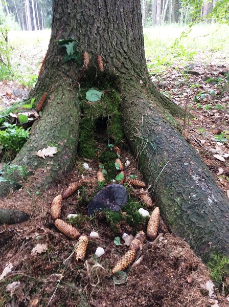 Výlet 2. a 3. třídy