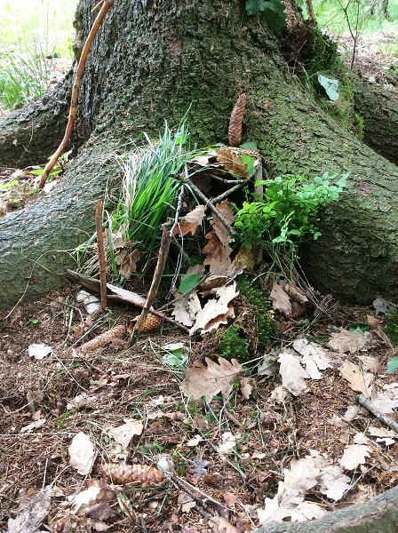 Výlet 2. a 3. třídy