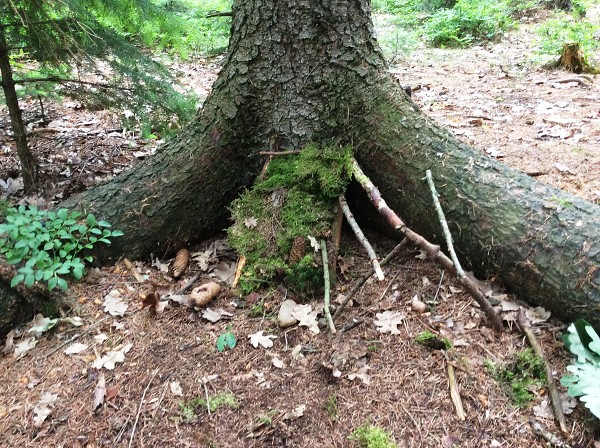 Výlet 2. a 3. třídy