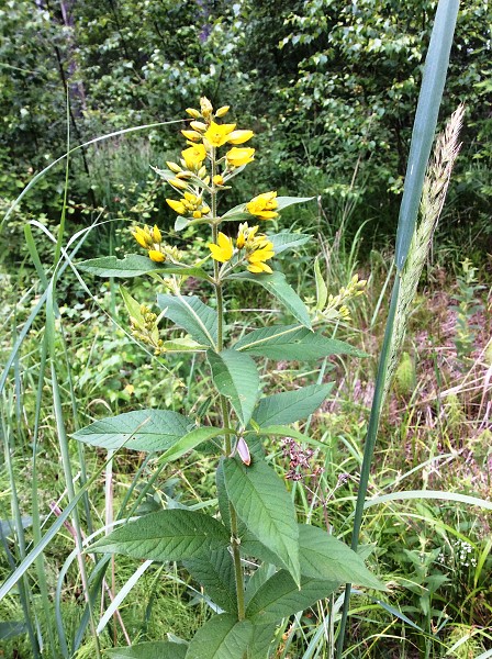 Výlet 2. a 3. třídy