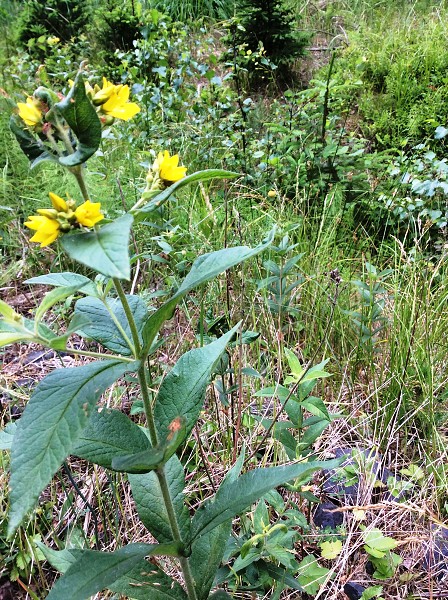 Výlet 2. a 3. třídy