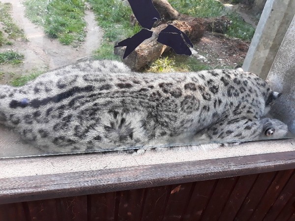 Výlet 8. třídy do ústecké zoo