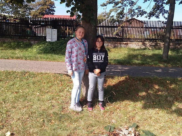 Stavby z přírodnin