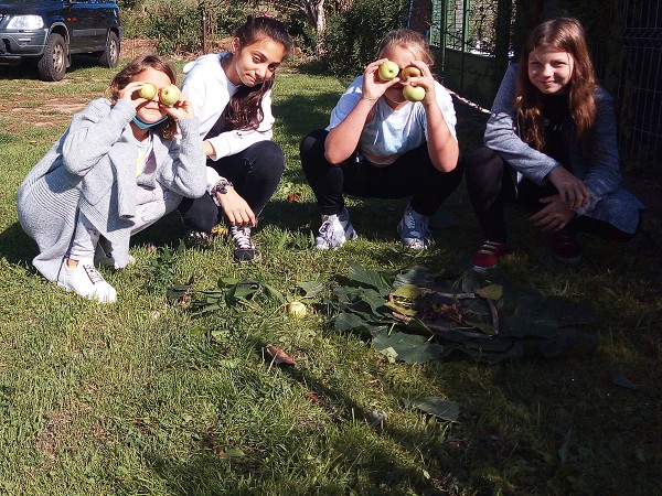 Stavby z přírodnin