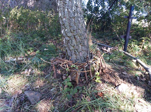 Stavby z přírodnin